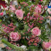 img/flowers-700/flower204-min-min.jpg