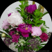 img/flowers-700/flower402-min-min.jpg