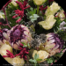 img/flowers-700/flower410-min-min.jpg