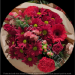 img/flowers-700/flower416-min-min.jpg